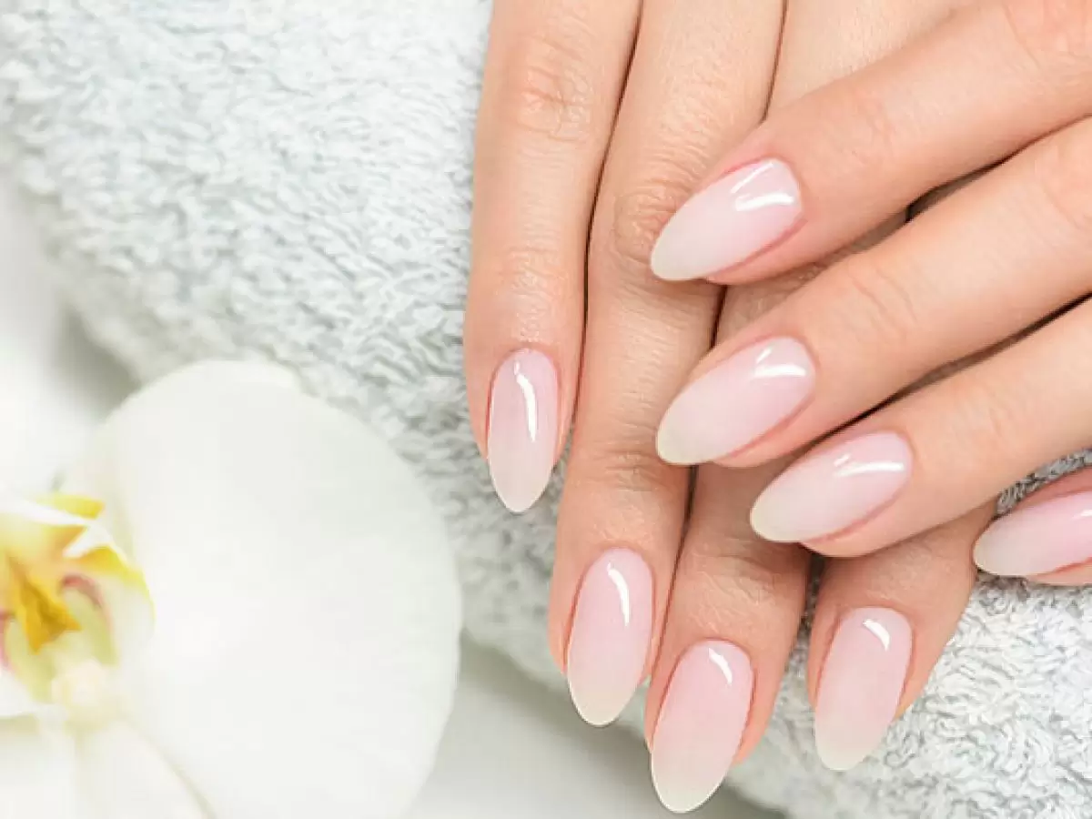 Pazar Protez Tırnak